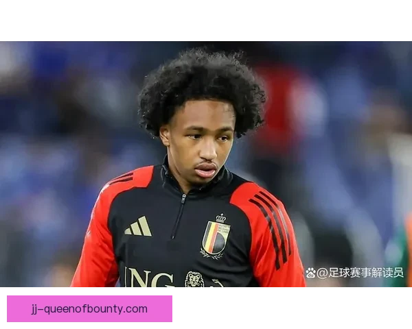 2025夏窗新星登陆法甲 里尔官宣签下意甲潜力年轻前锋引发关注